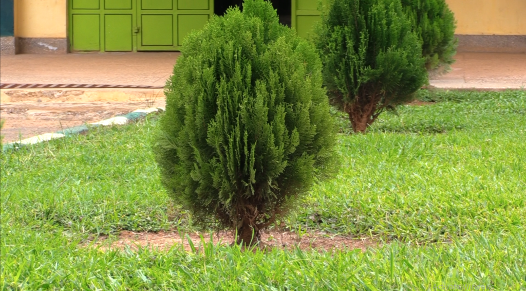 Kakamega School Joins Global Air Quality Monitoring Initiative