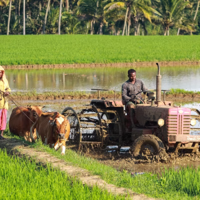 Future of Farming in Kenya: The Smart Agriculture Revolution
