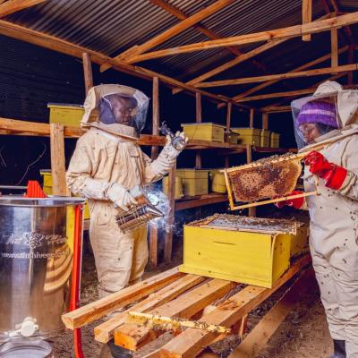Where honeybees hum is sweet music for women