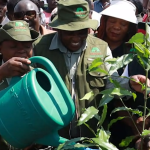 Kenya’s Only Rainforest at the Heart of a Climate Reckoning on World Rainforest Day
