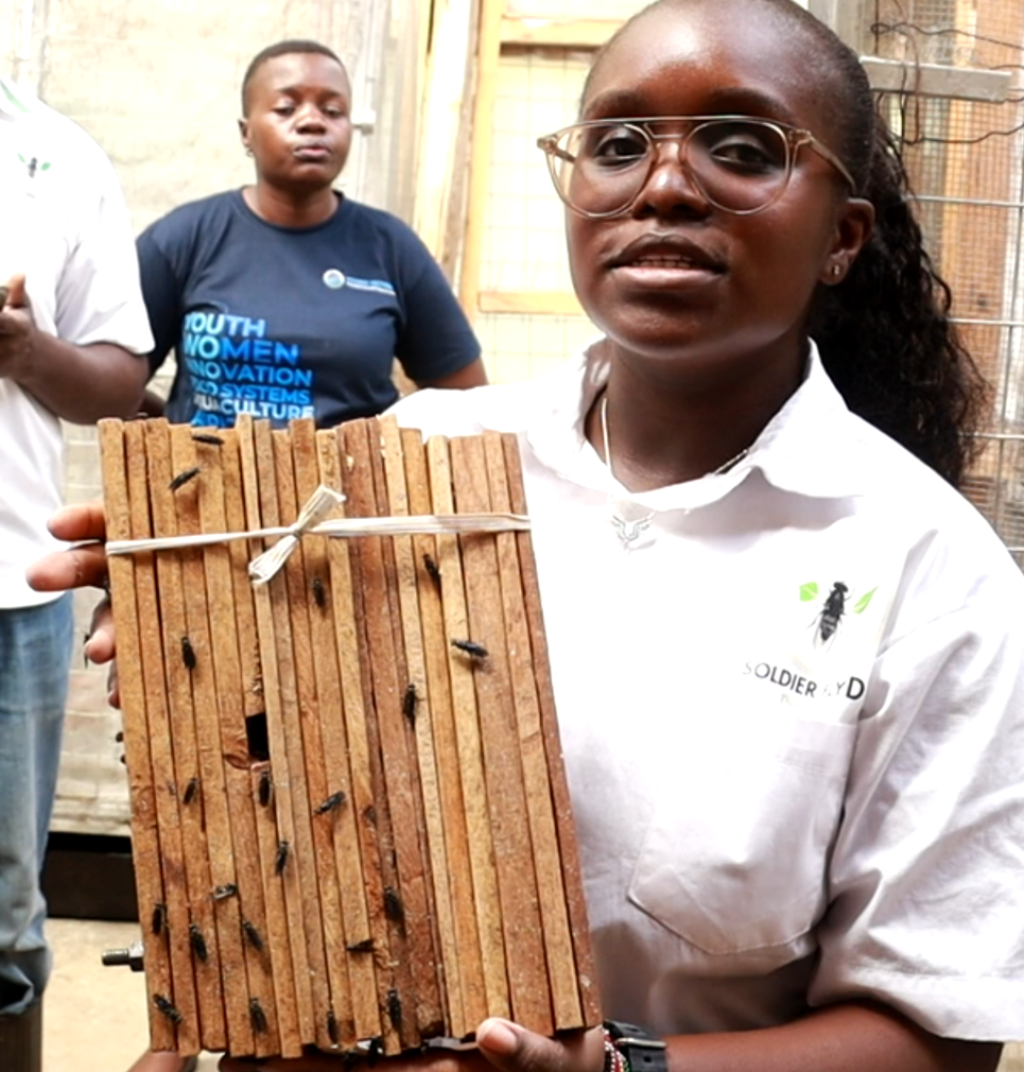 Meet the Woman Cleaning Kakamega: Inside the Female-Led Insect Farm Turning Market Garbage into Green Gold