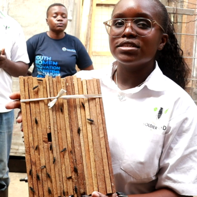 Meet the Woman Cleaning Kakamega: Inside the Female-Led Insect Farm Turning Market Garbage into Green Gold